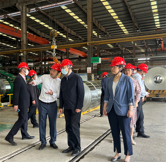 民建中央領(lǐng)導(dǎo)走訪(fǎng)我司